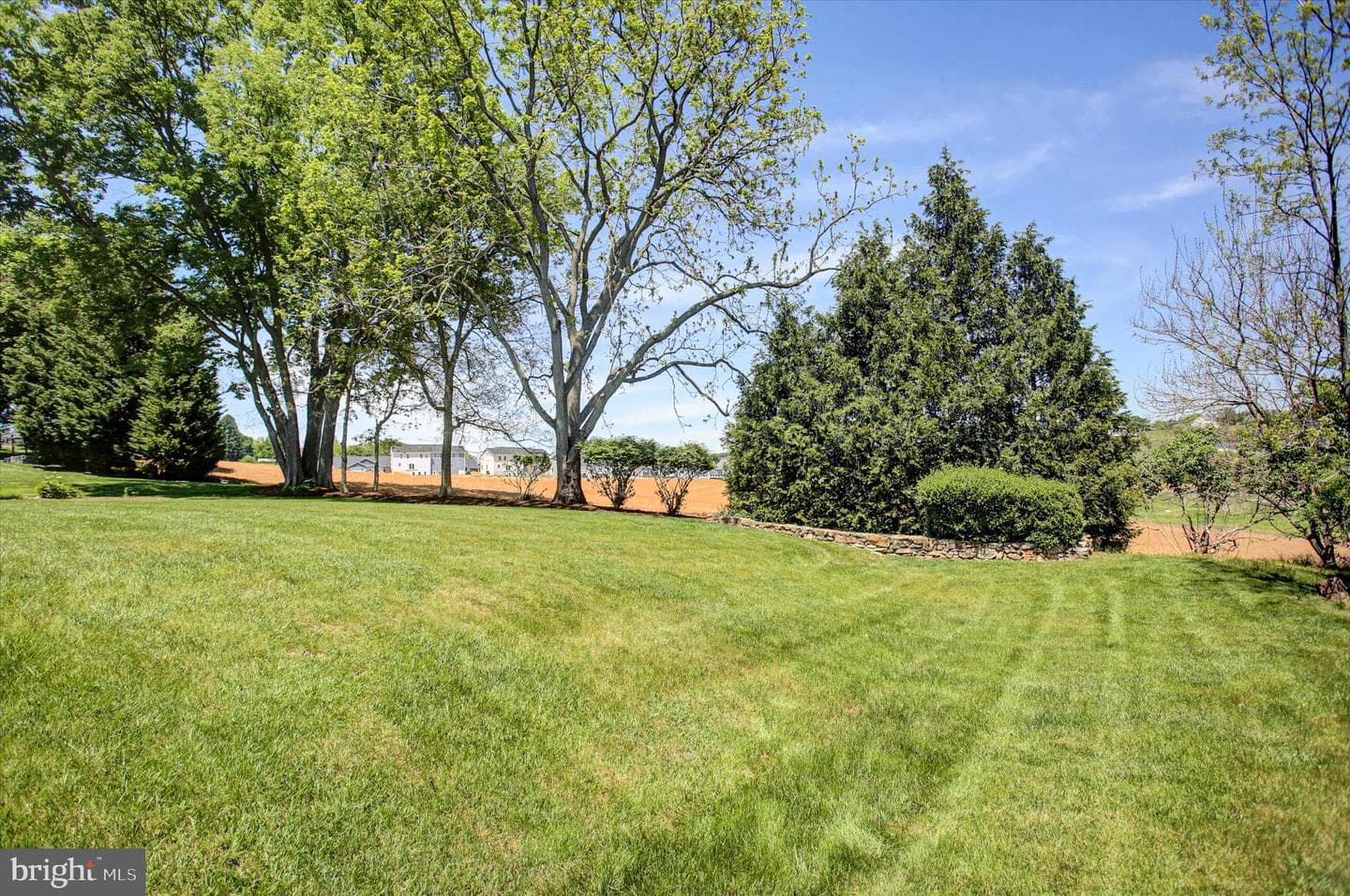 9495 Hesshire Hill Court photo 52