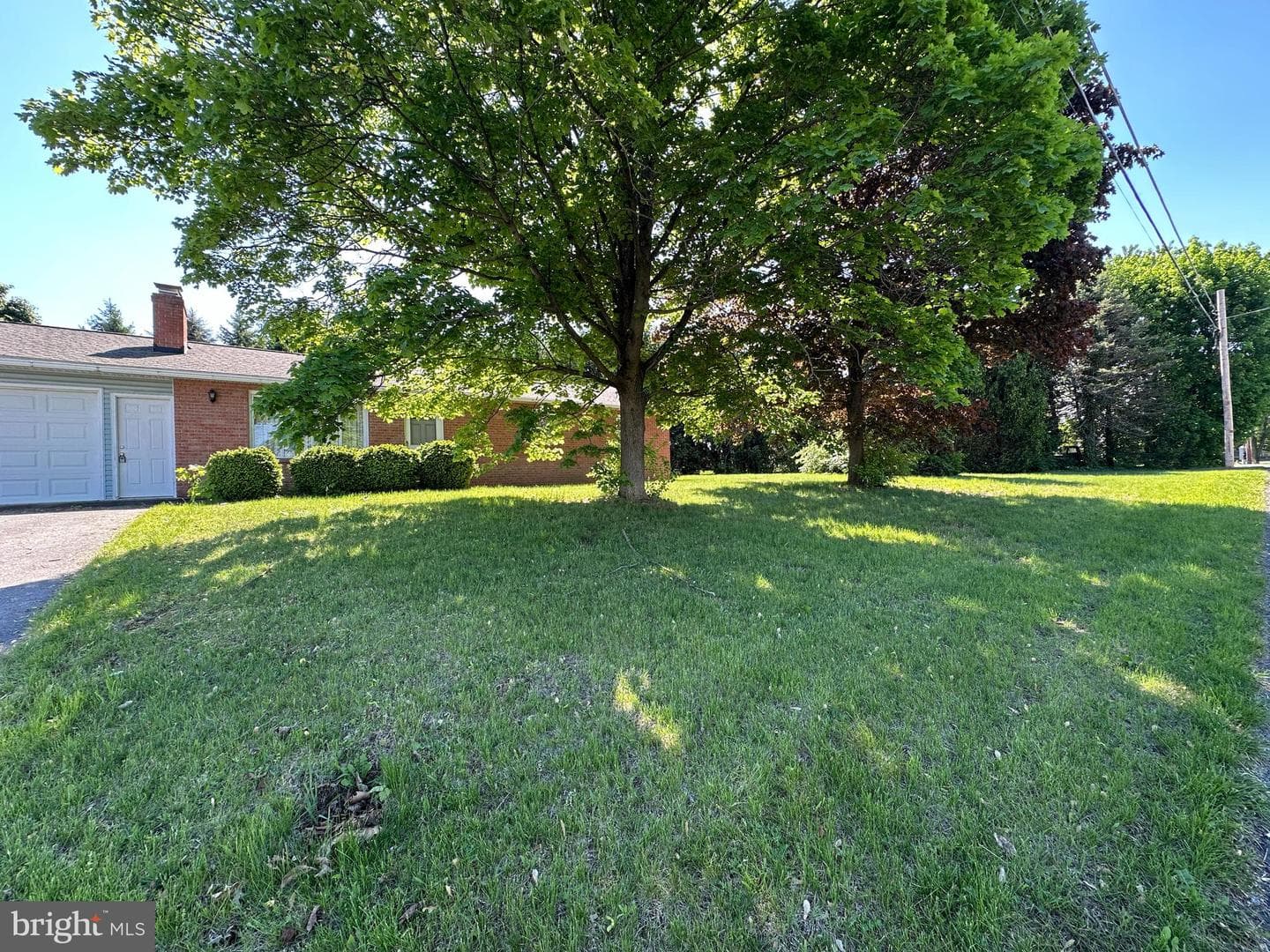3814 Sycamore Grove Road photo 14