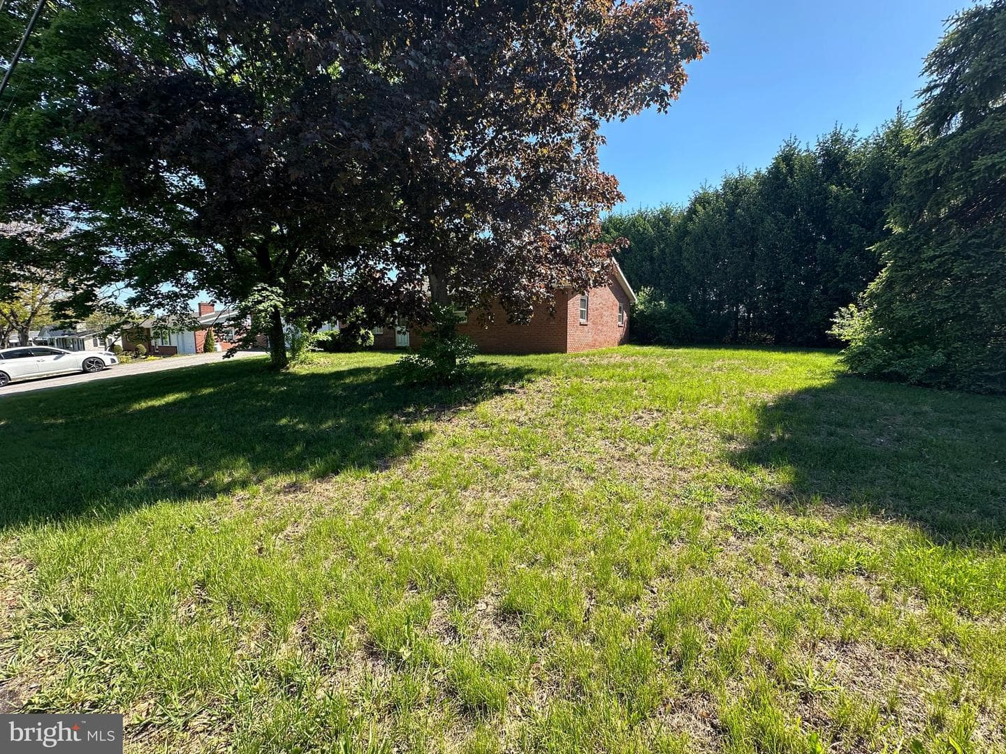 3814 Sycamore Grove Road photo 16