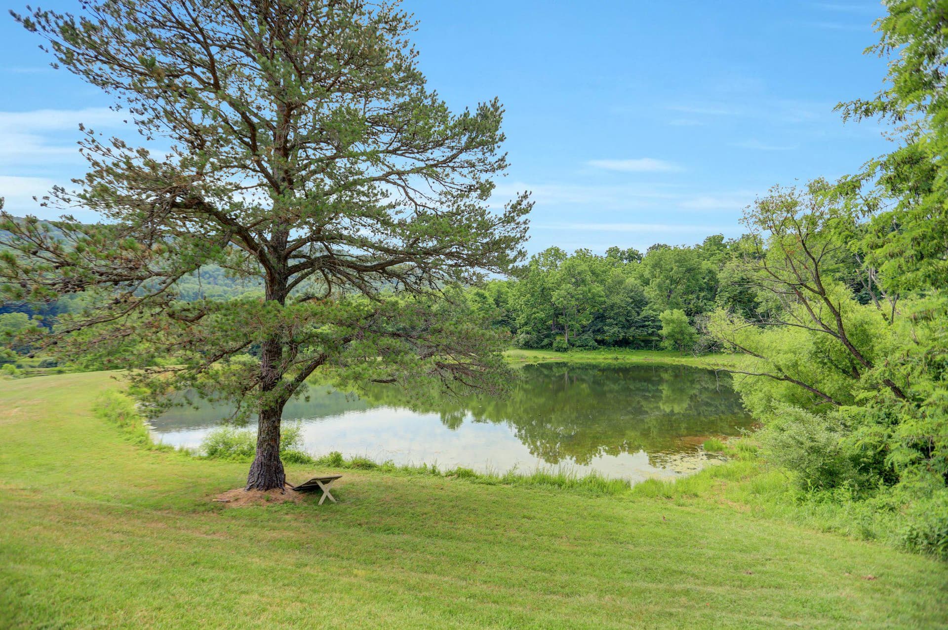 14101 Barberry Circle #402 photo 20