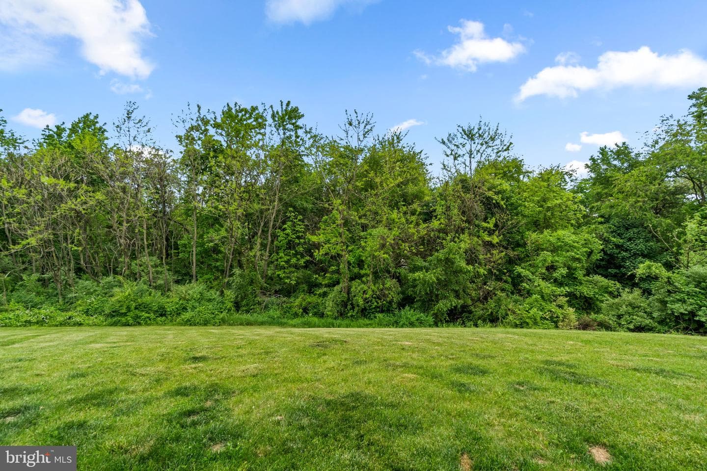 1584 Bunker Court photo 39