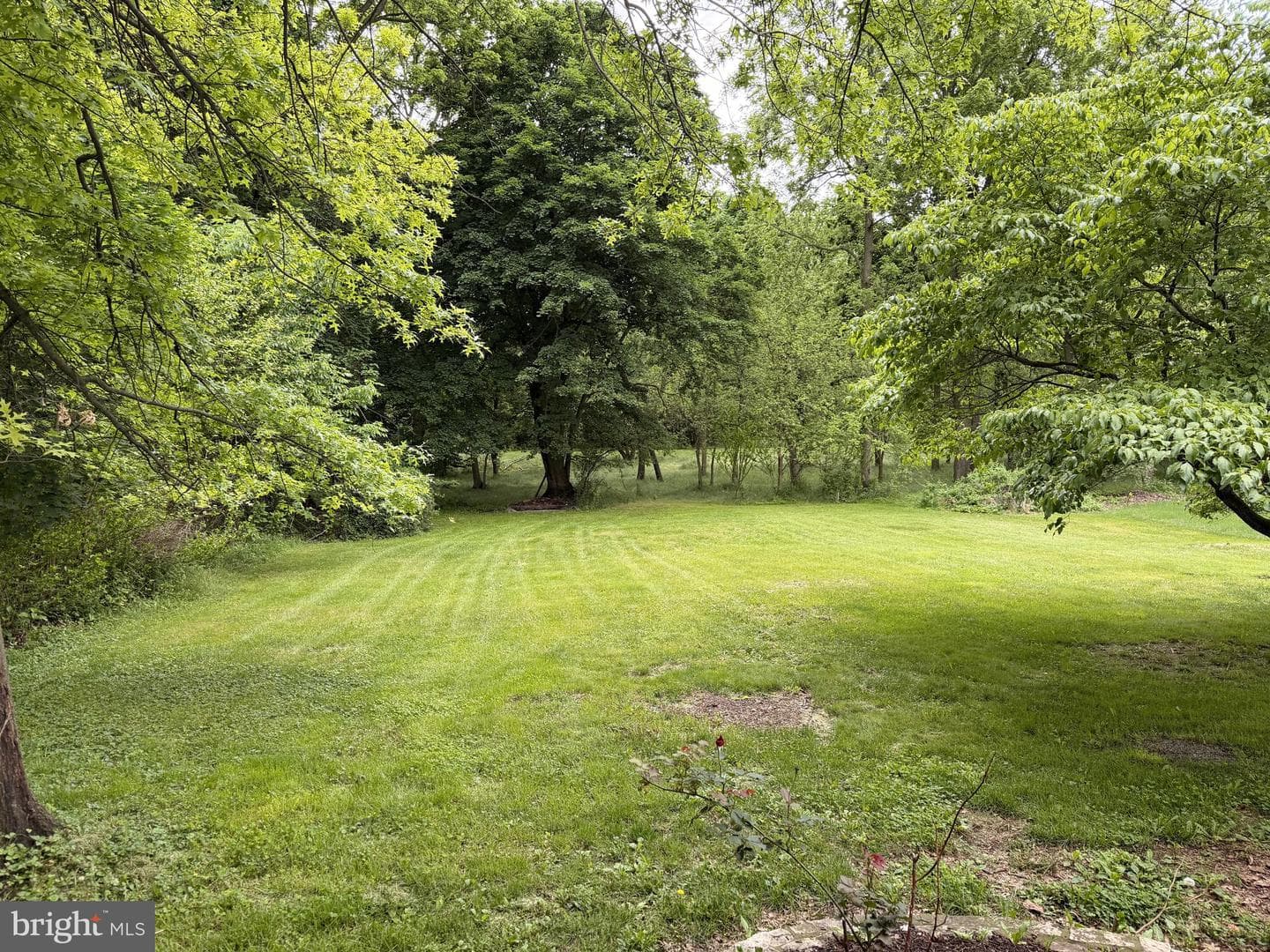 1196 Cider Press Road photo 22