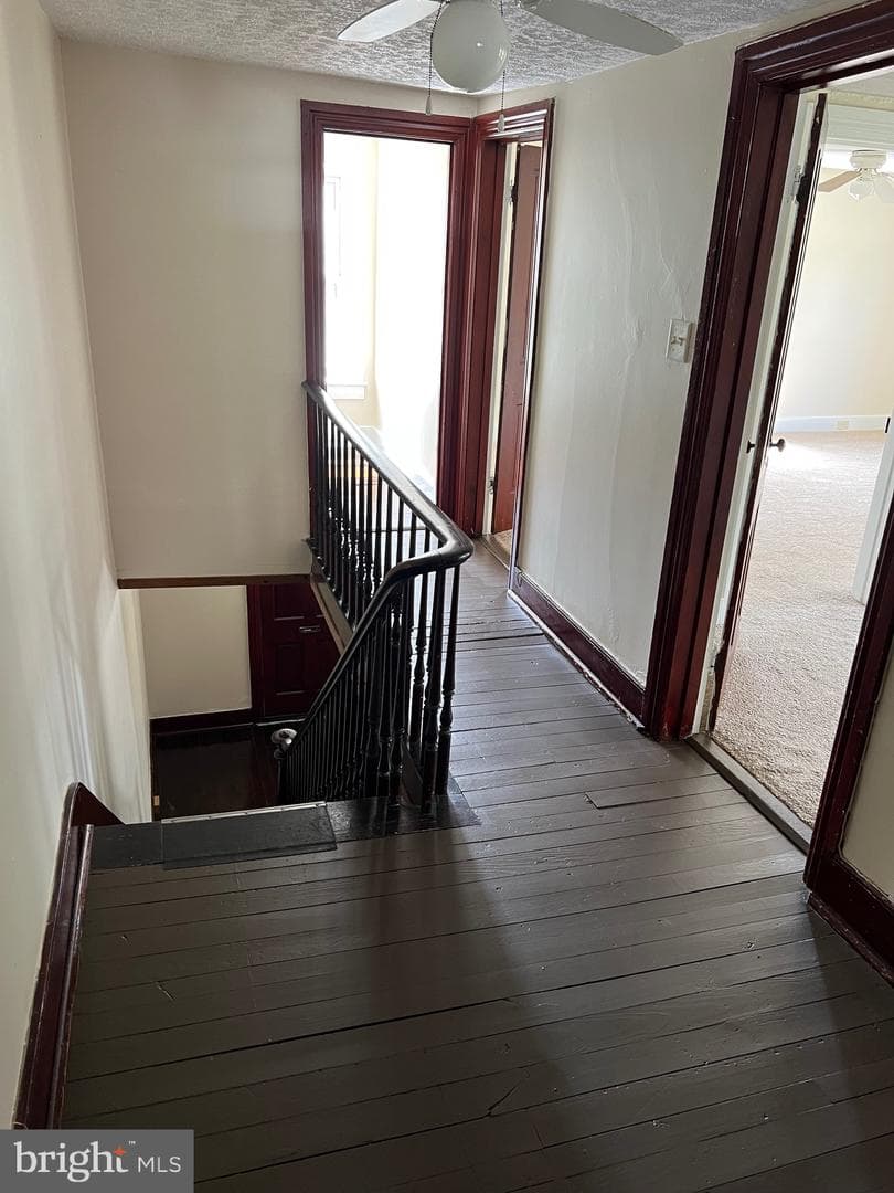 323 Hood Street photo 9