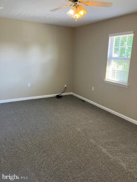 2339 Mccleary Drive photo 15