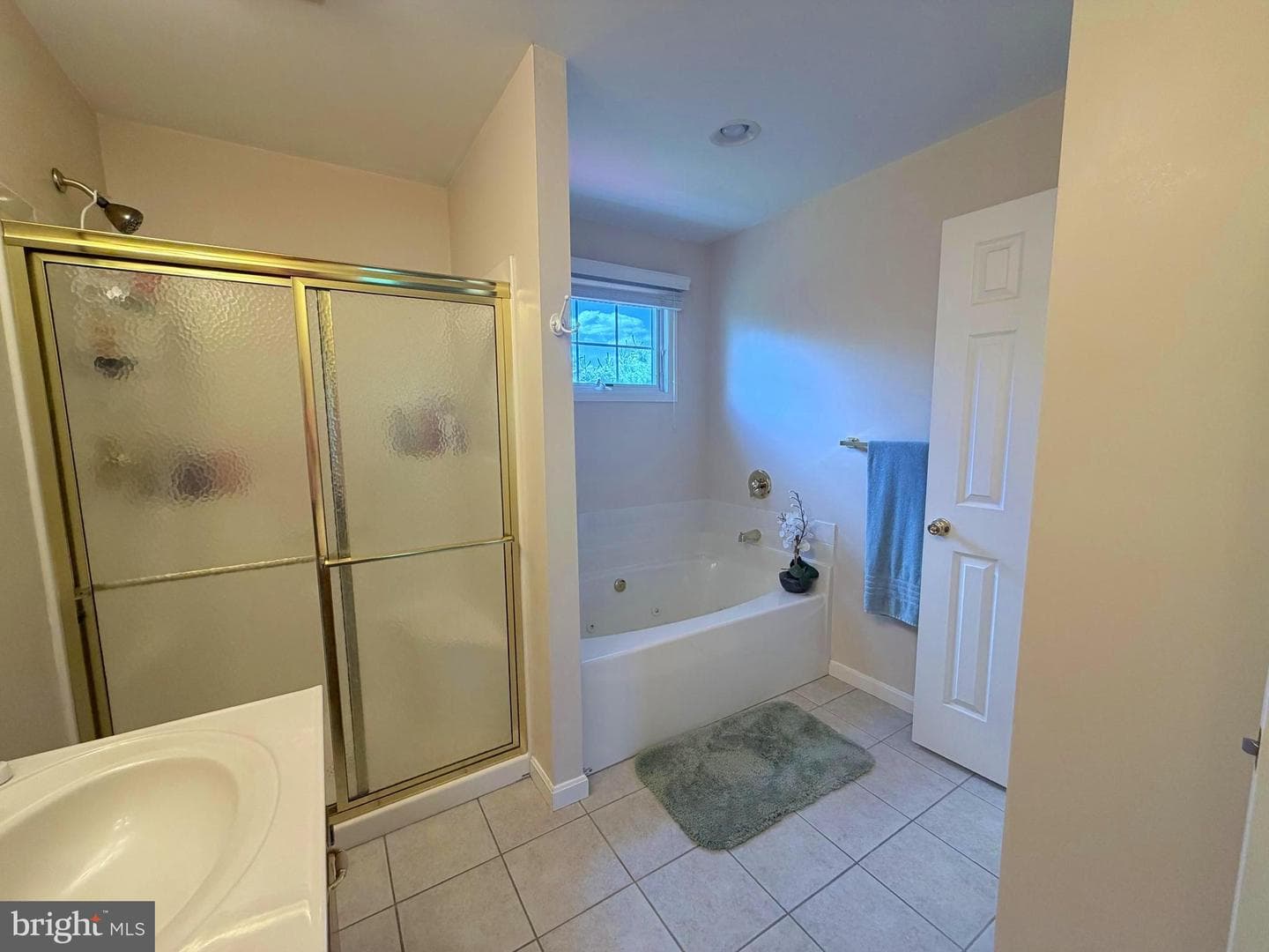 206 Phoenix Drive photo 37