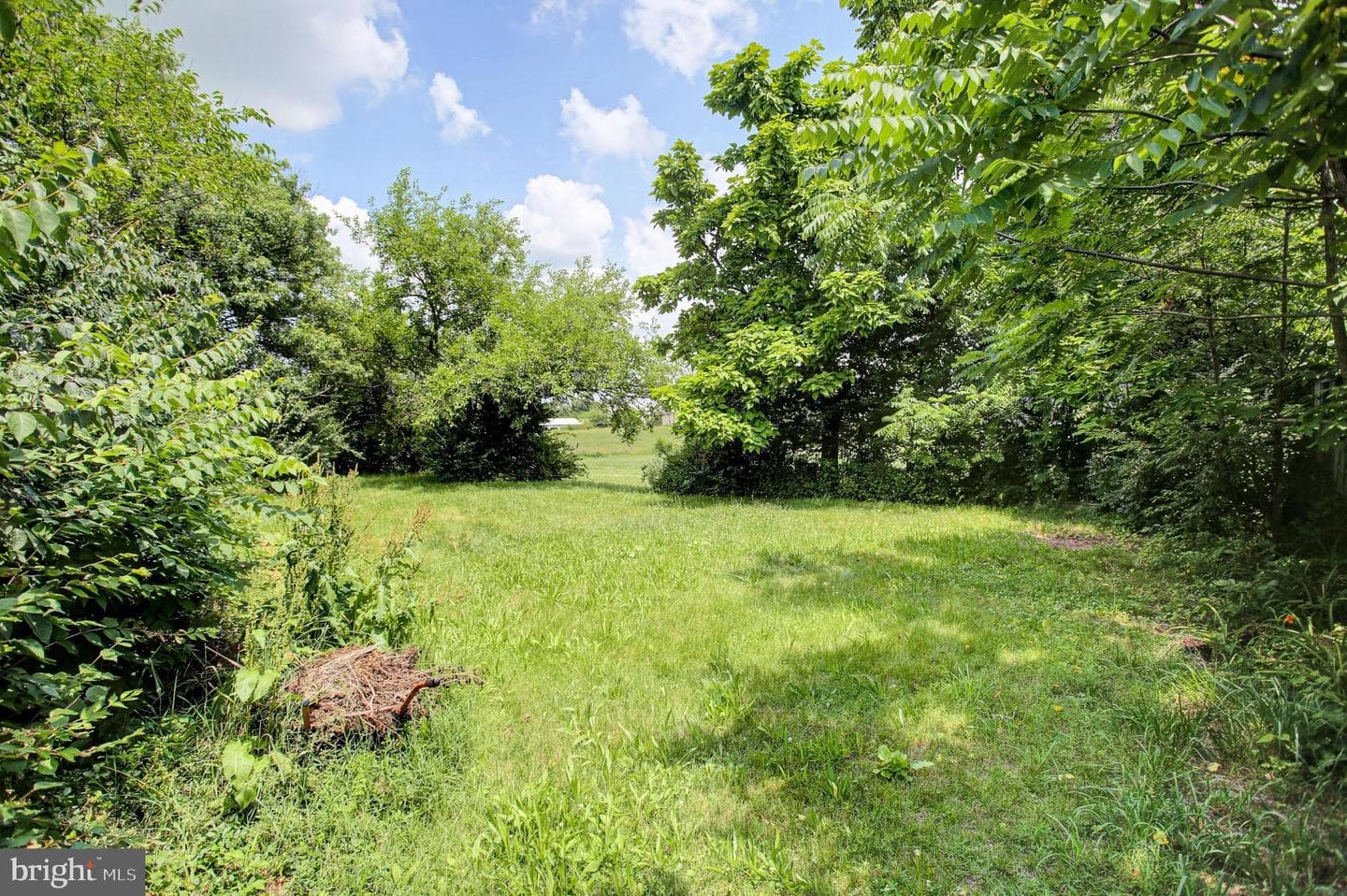 1811 Holly Lane photo 21