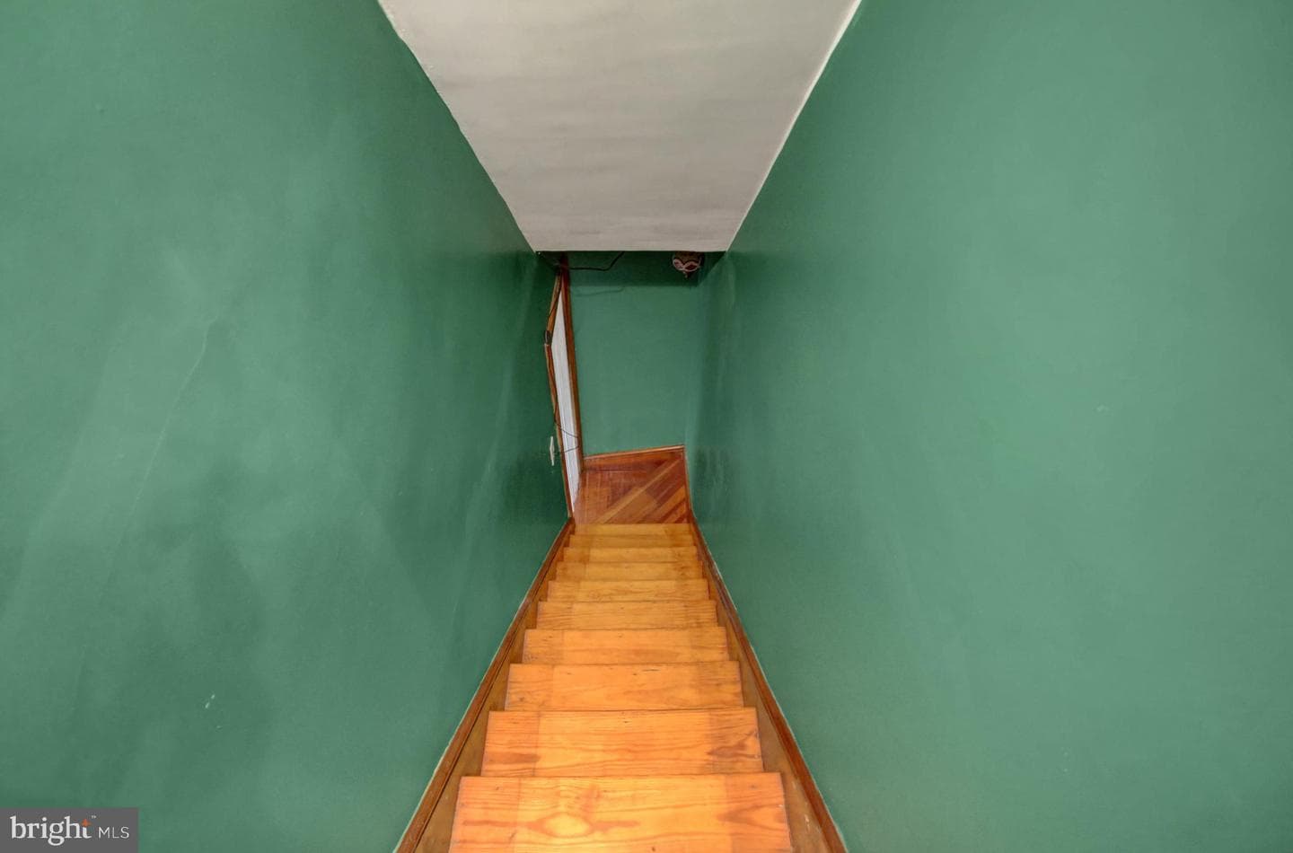 63 Linden Avenue N photo 20