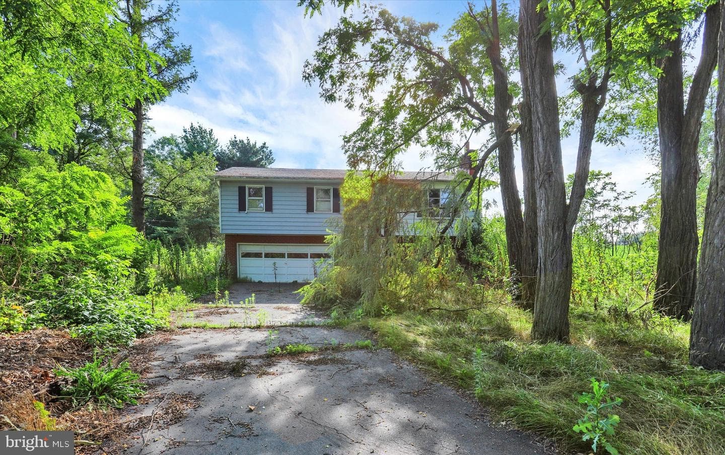 1254 Kennedy Court photo 22
