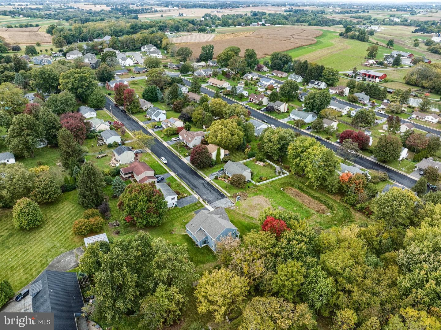 300 Sunset Avenue #covington photo 50