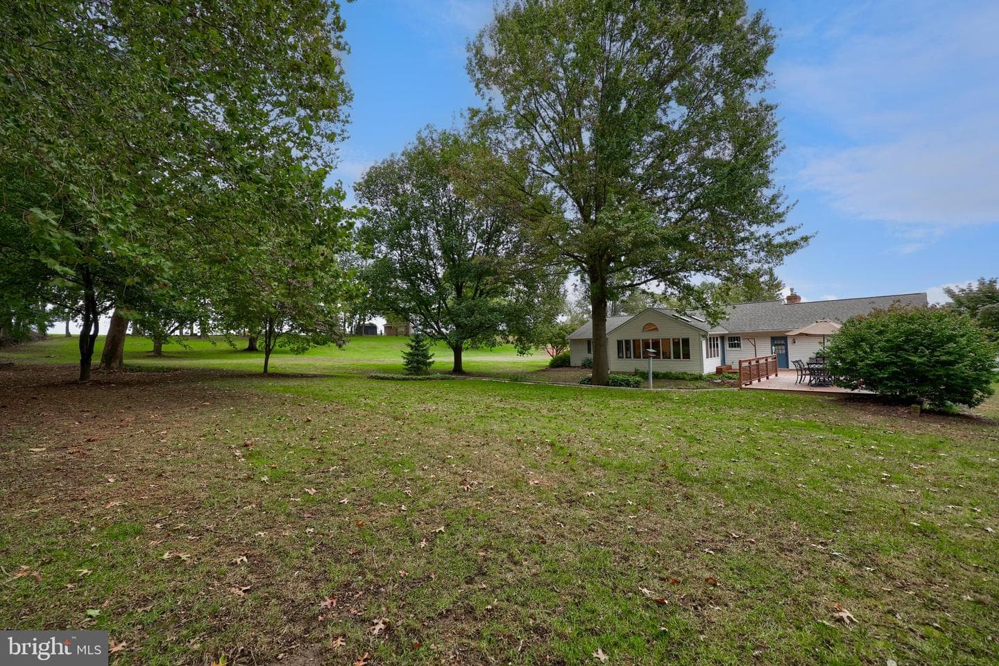 2435 Honeysuckle Lane photo 45
