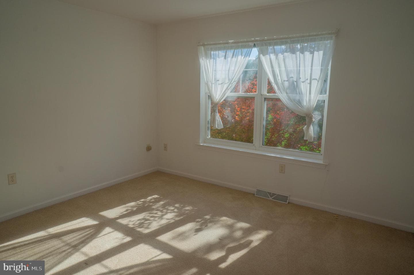 1221 Brighton Avenue photo 30