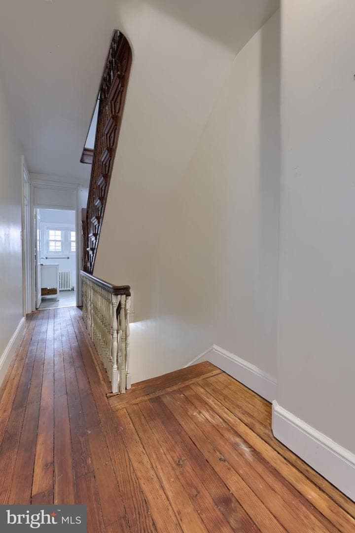 26 Race Avenue photo 28