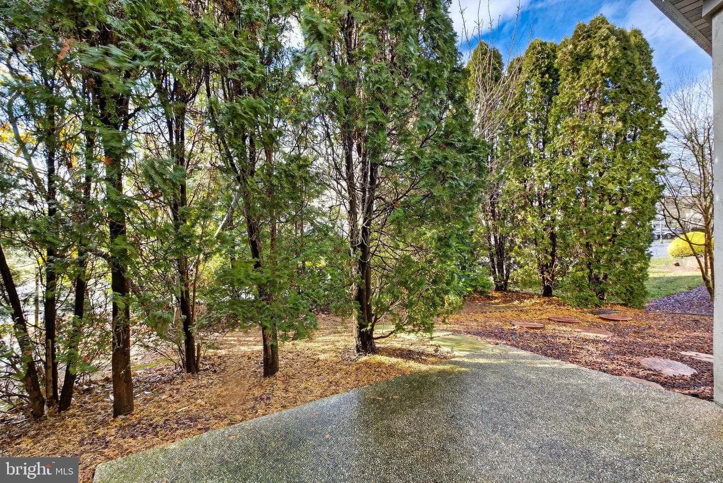 701 Woodfield Drive photo 44