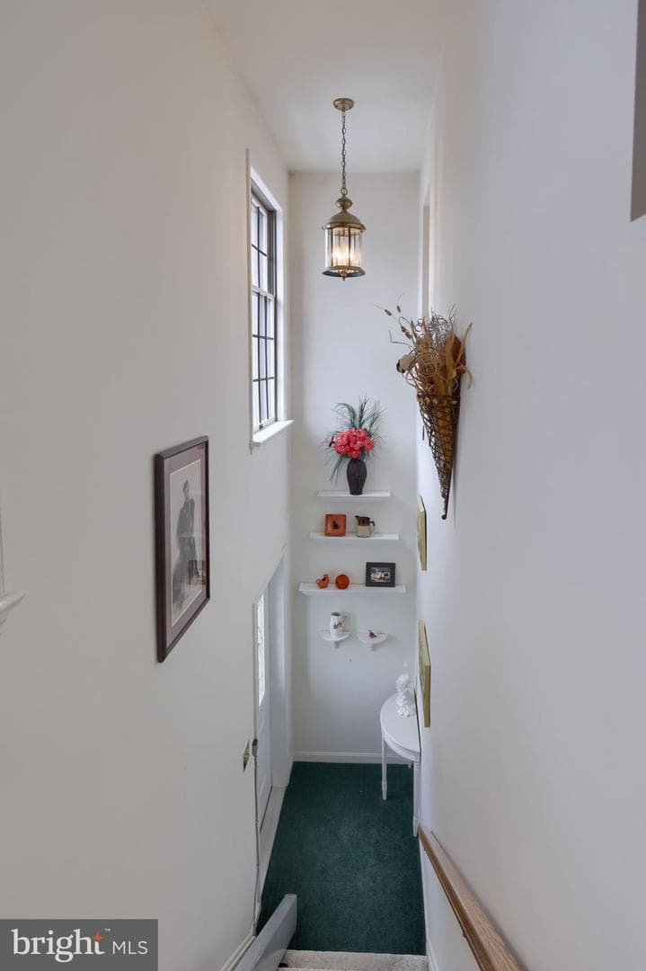 3 Amberley Way photo 29