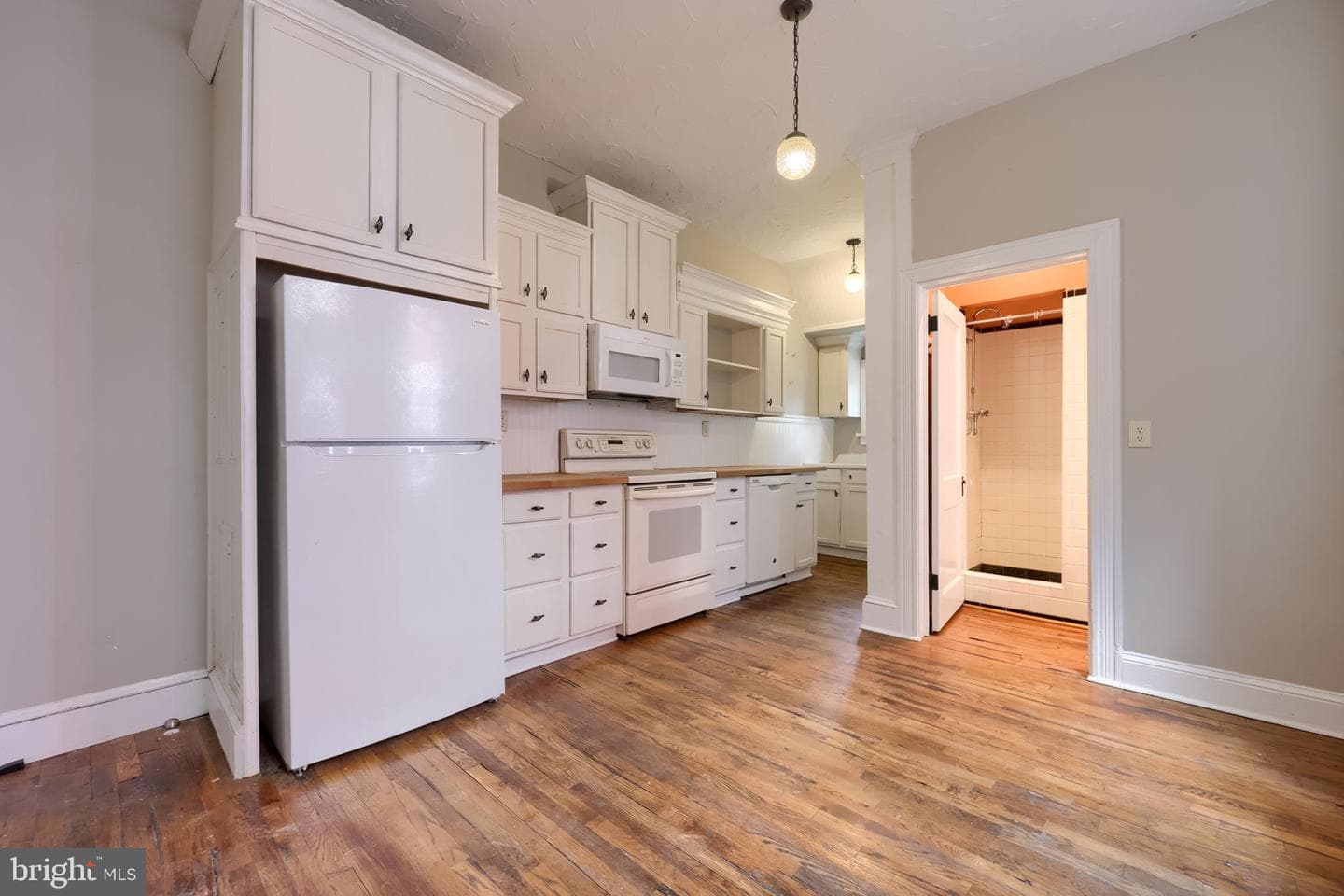 213 E Ross Street photo 24