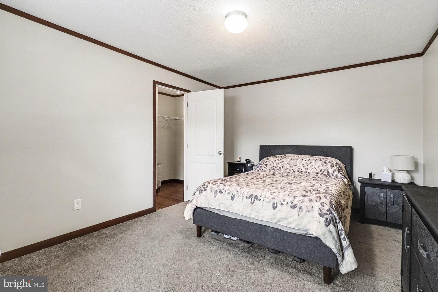 404 Dogwood Lane photo 8