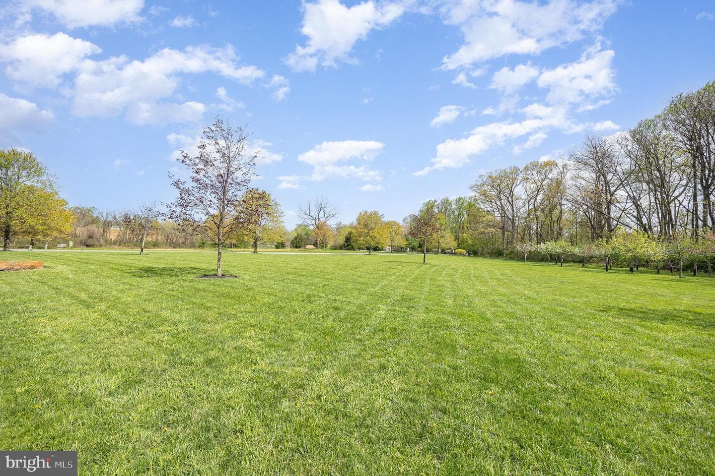 115 Monument Drive photo 32