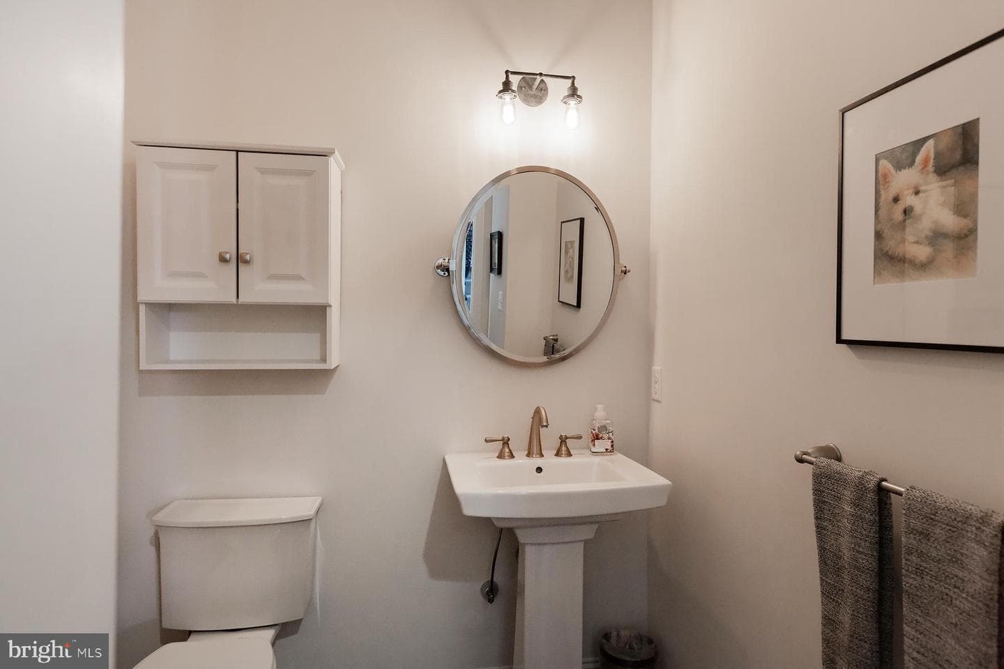 1137 Esbenshade Drive photo 35