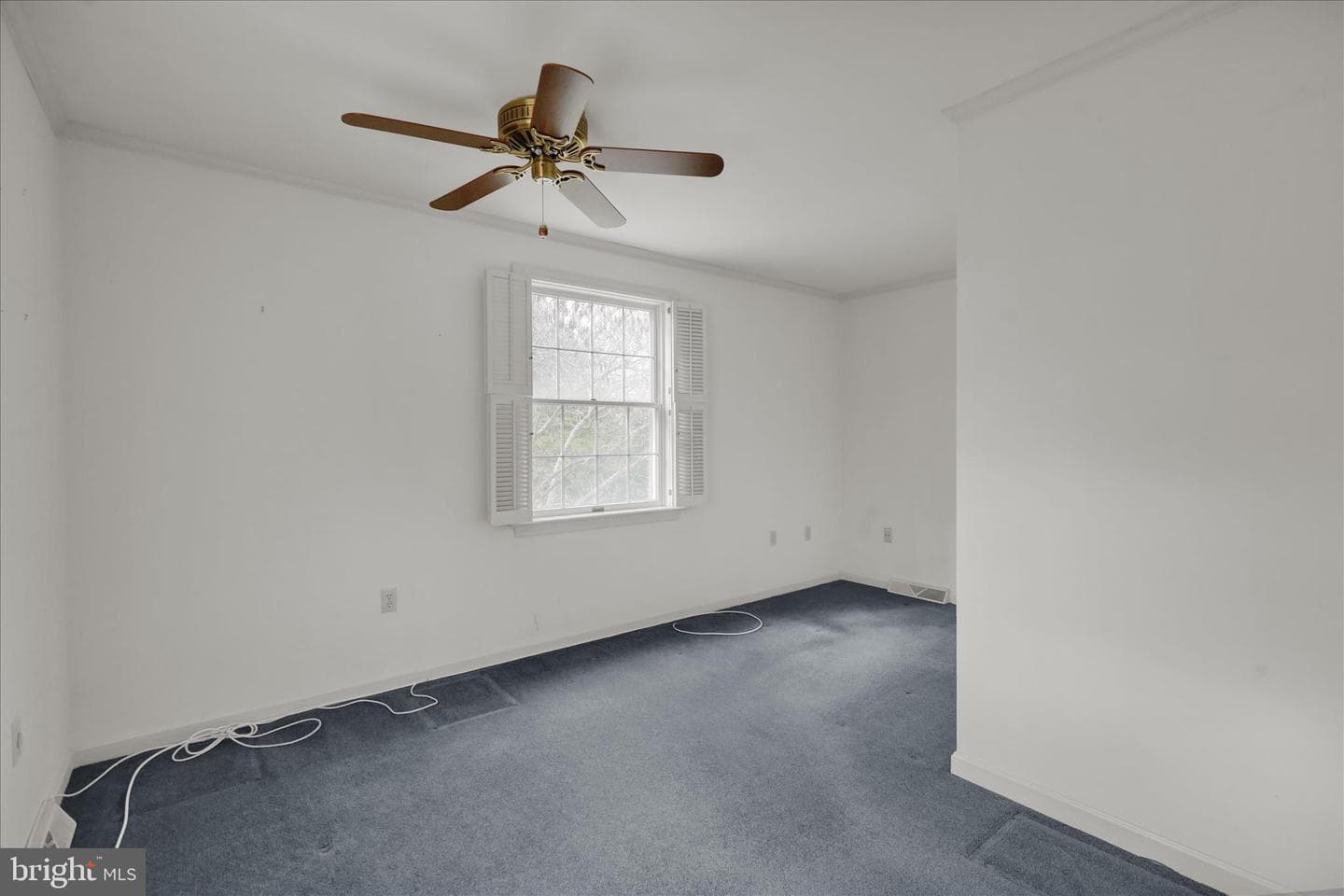 62 Oak Lane photo 47