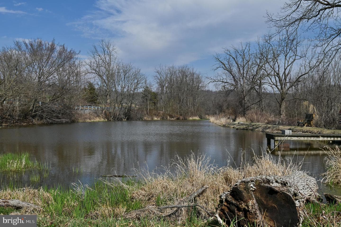 1700 Texter Mountain Road photo 9
