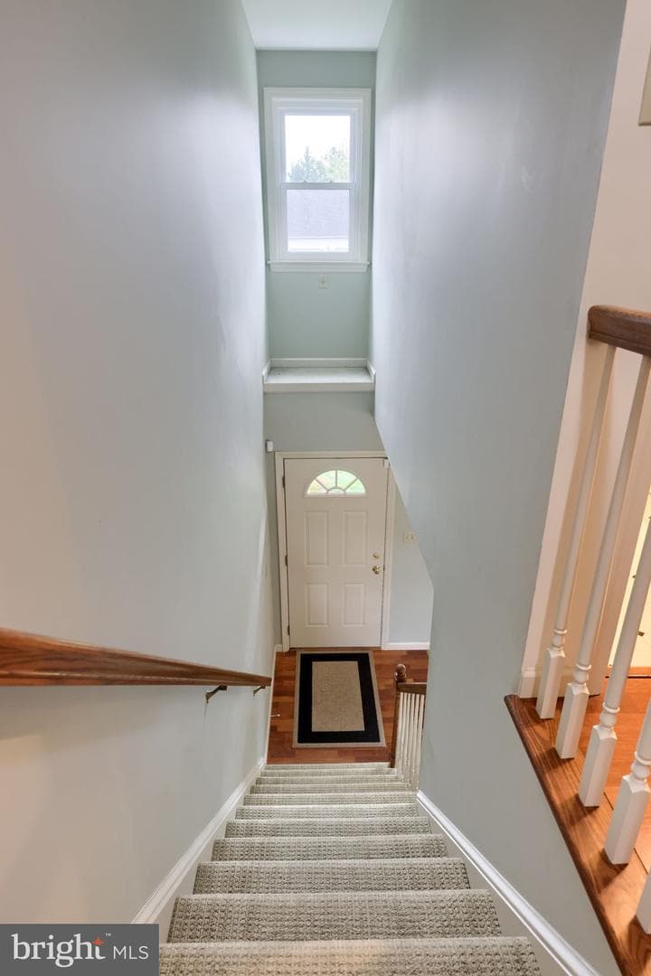 3949 Birchwood Lane photo 23