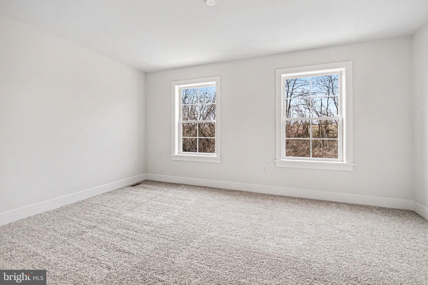 103 Brookfield Drive photo 23