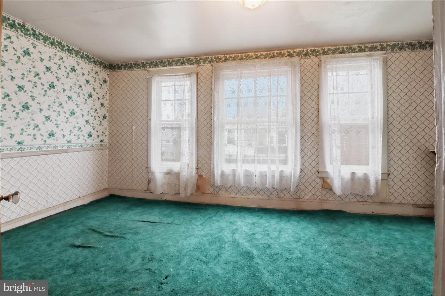 16 S Ann Street photo 17
