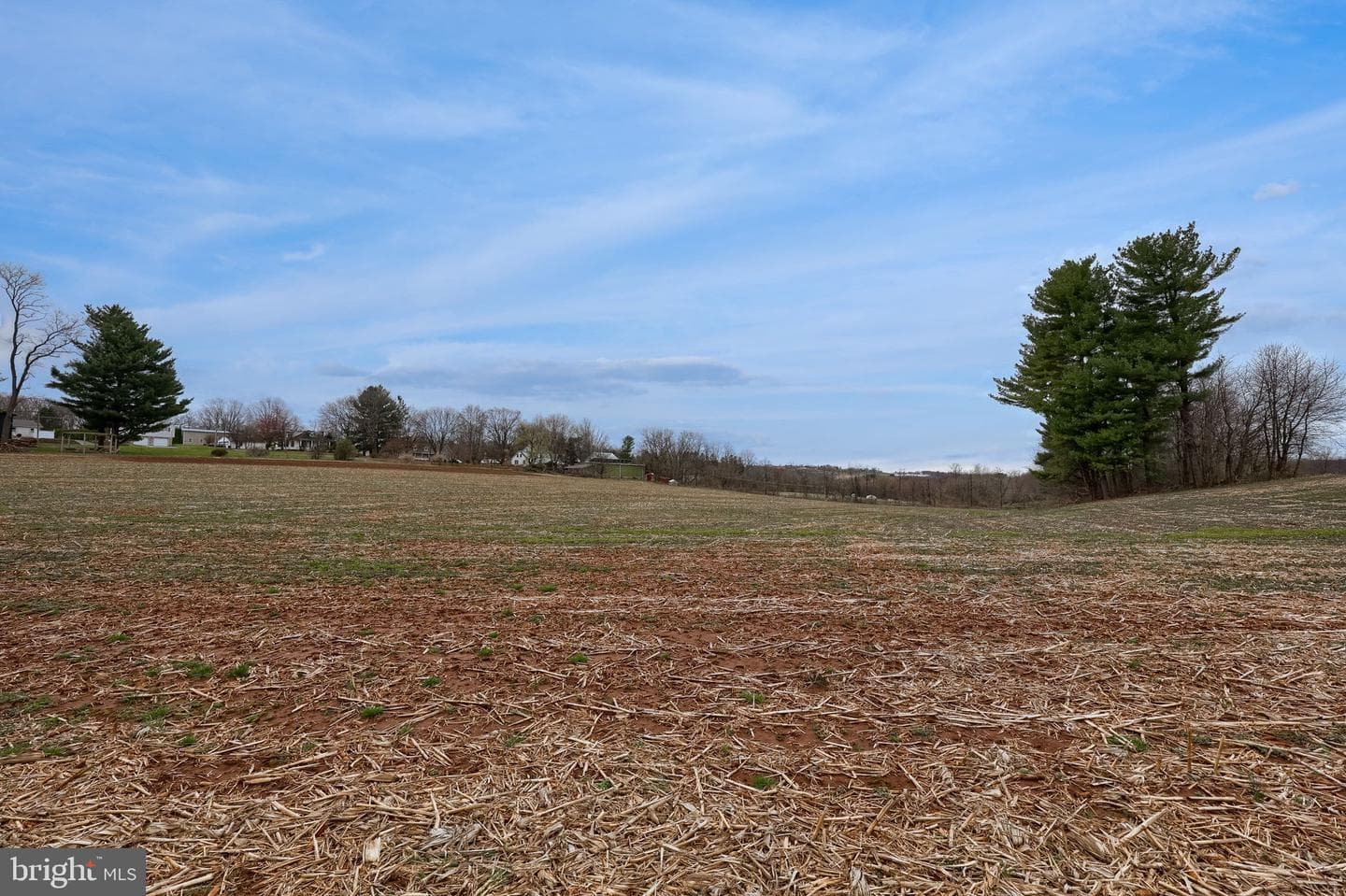 1001 Rebecca Drive photo 5