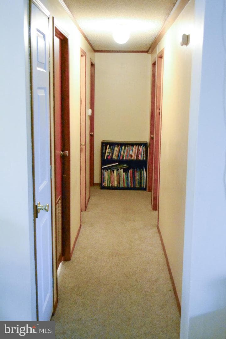 105 Bridlewood Court S photo 14