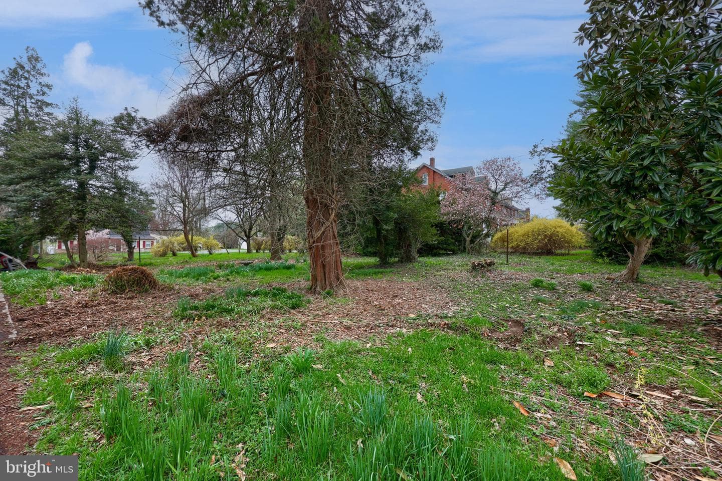 218 Pleasure Road photo 28