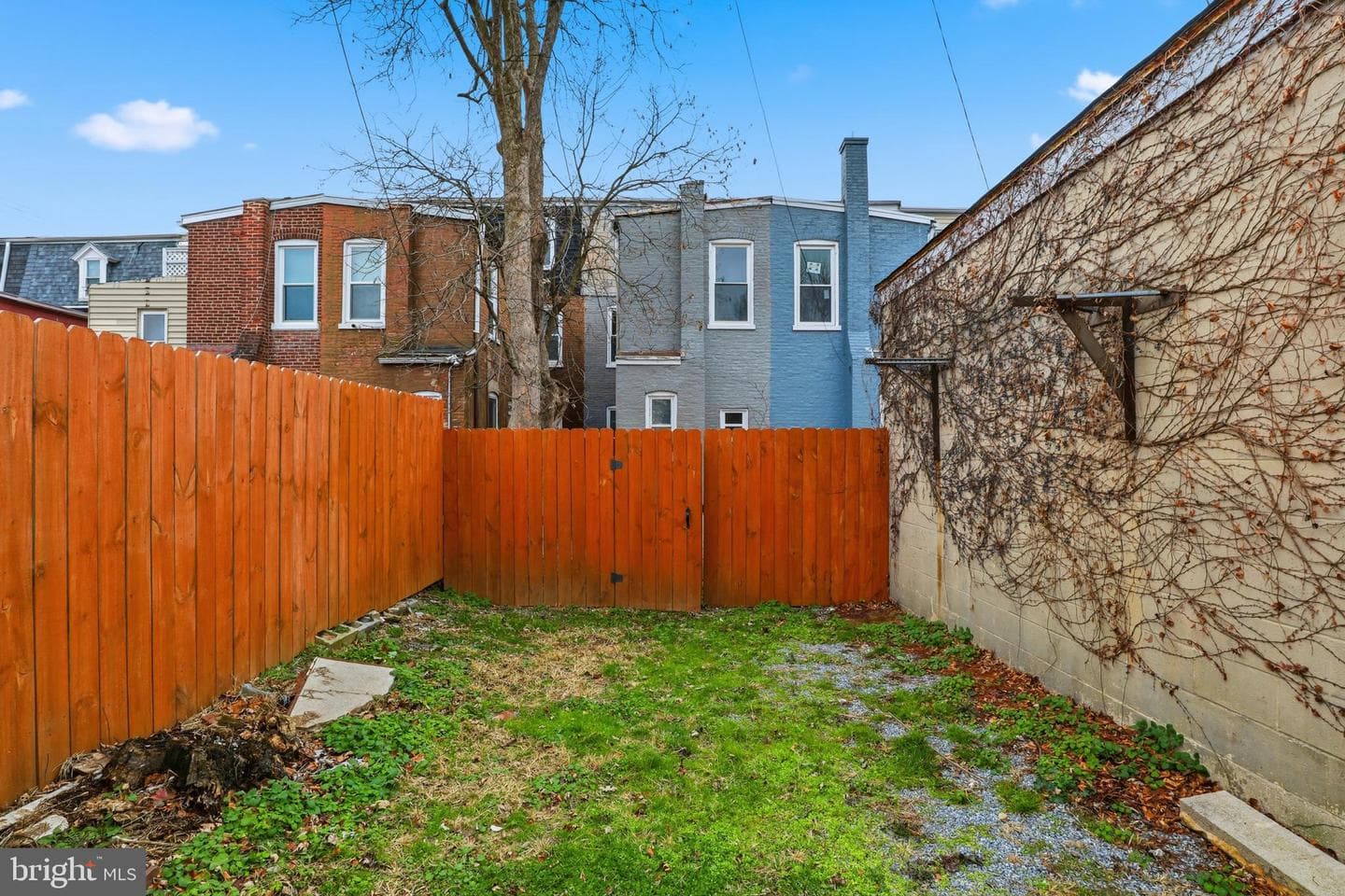 112 Coral Street photo 35