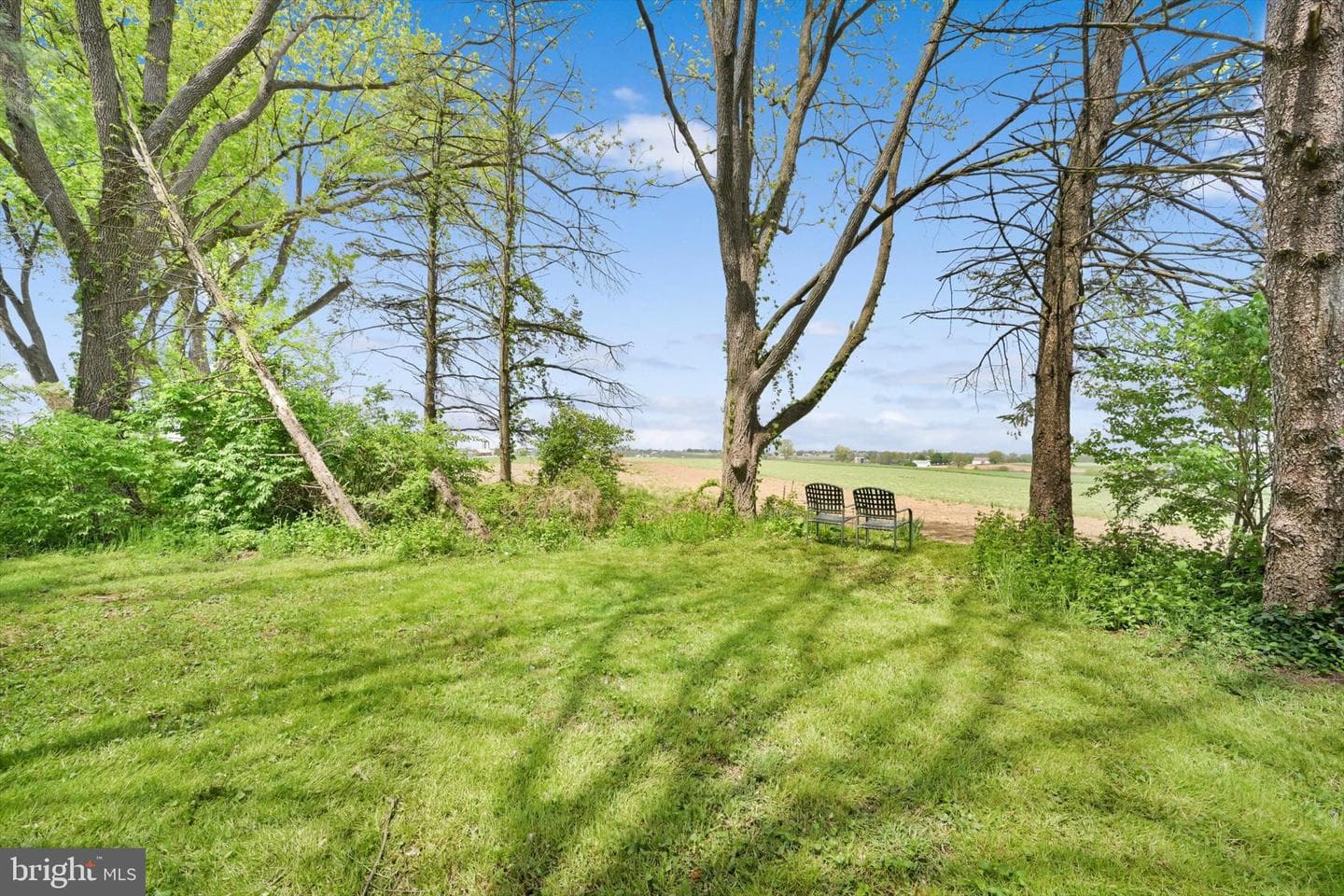 1523 Village Road photo 40