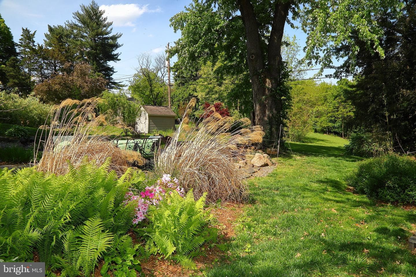 1137 Devonshire Road photo 8