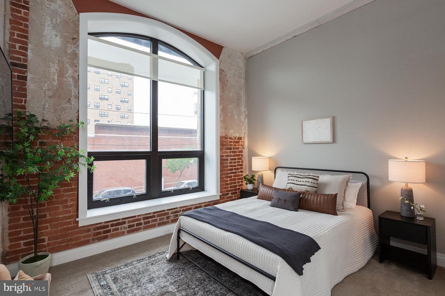 41 W Lemon Street #206 photo 34