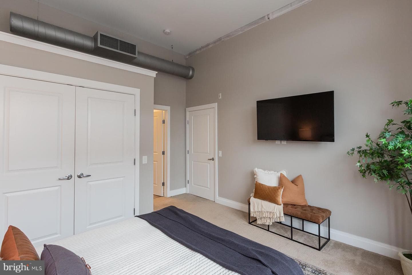 41 W Lemon Street #206 photo 35