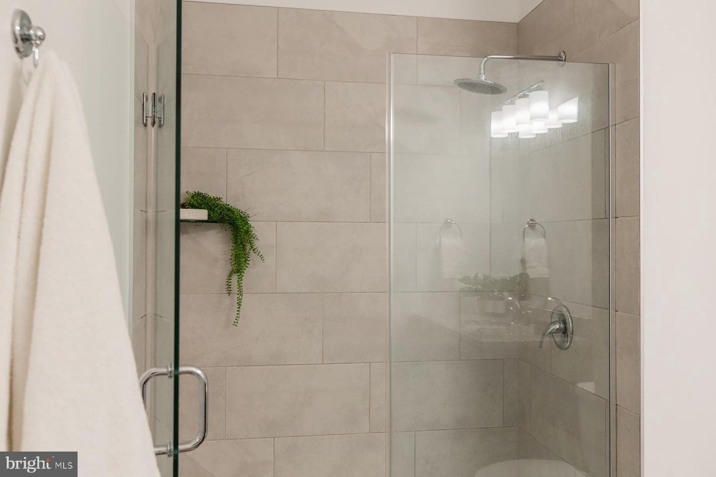 41 W Lemon Street #206 photo 38