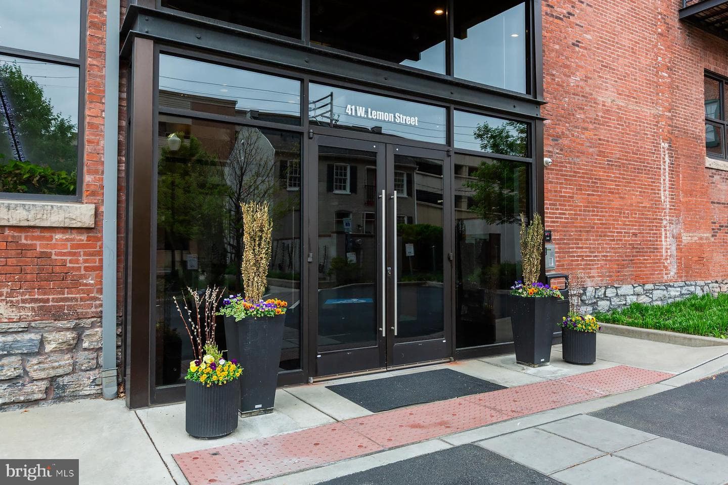41 W Lemon Street #206 photo 4