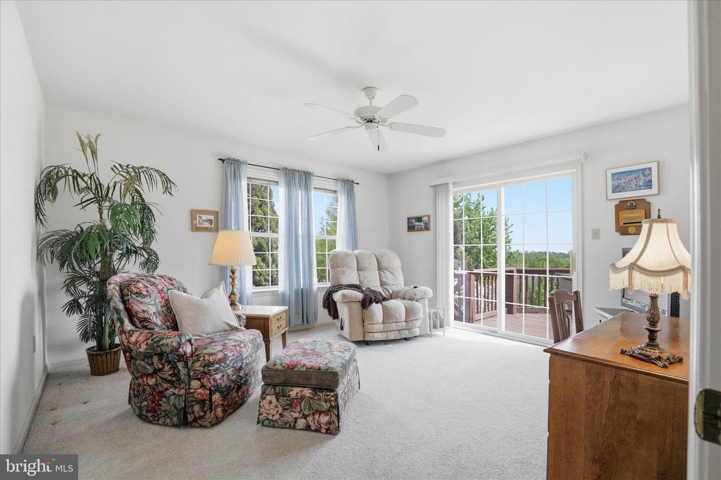 3640 Falcon Court photo 5