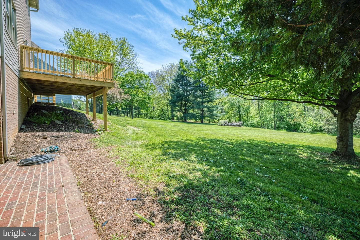 344 W Charlotte Street photo 41