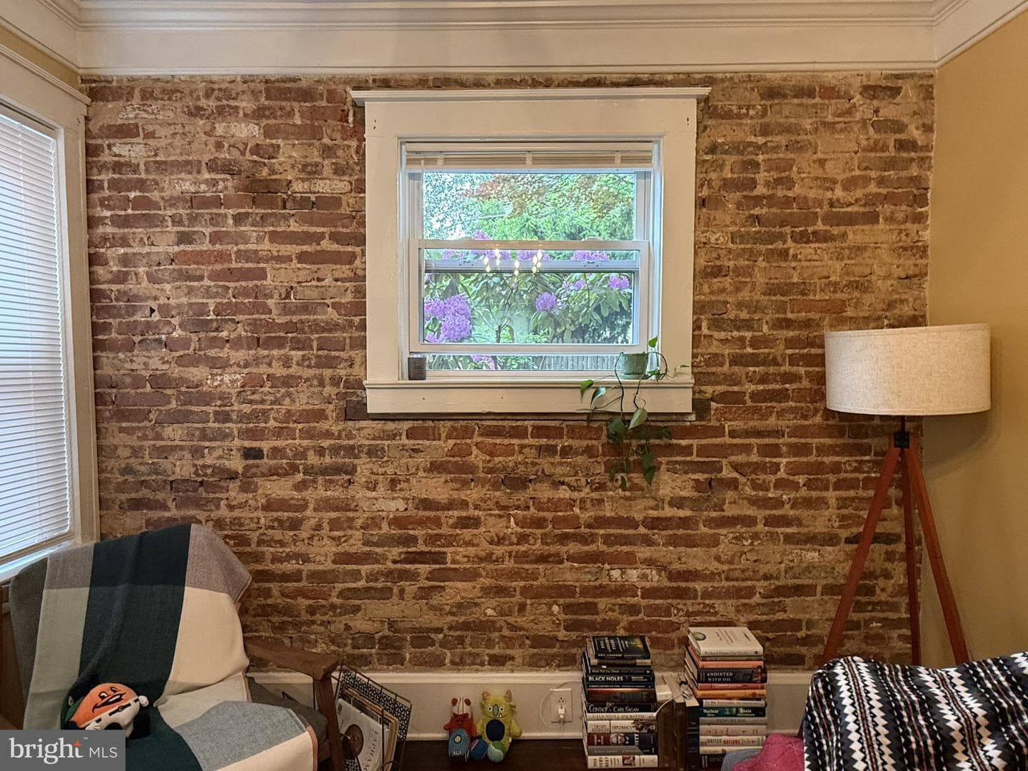 40 N Plum Street photo 4