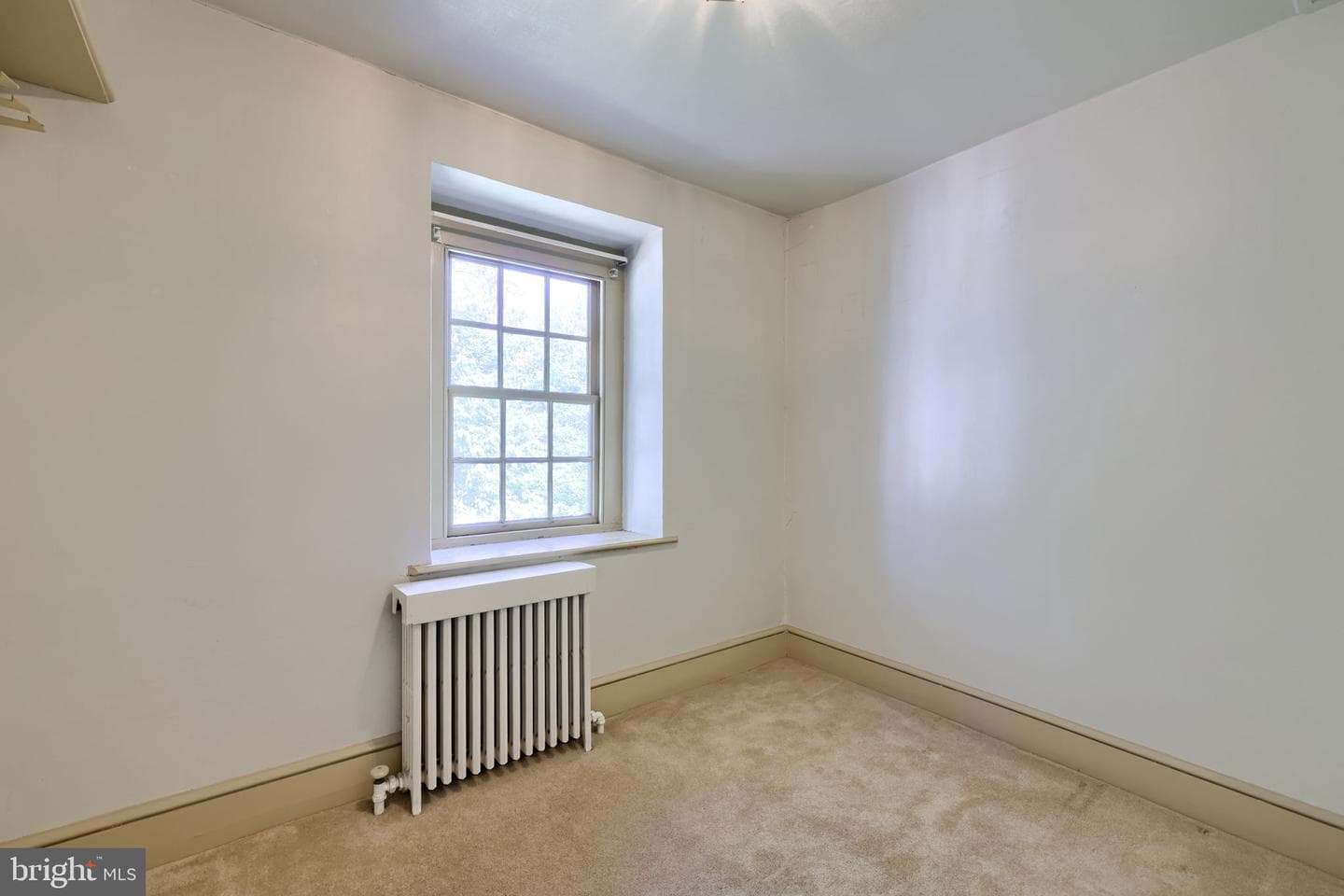 326 Miller Street photo 45