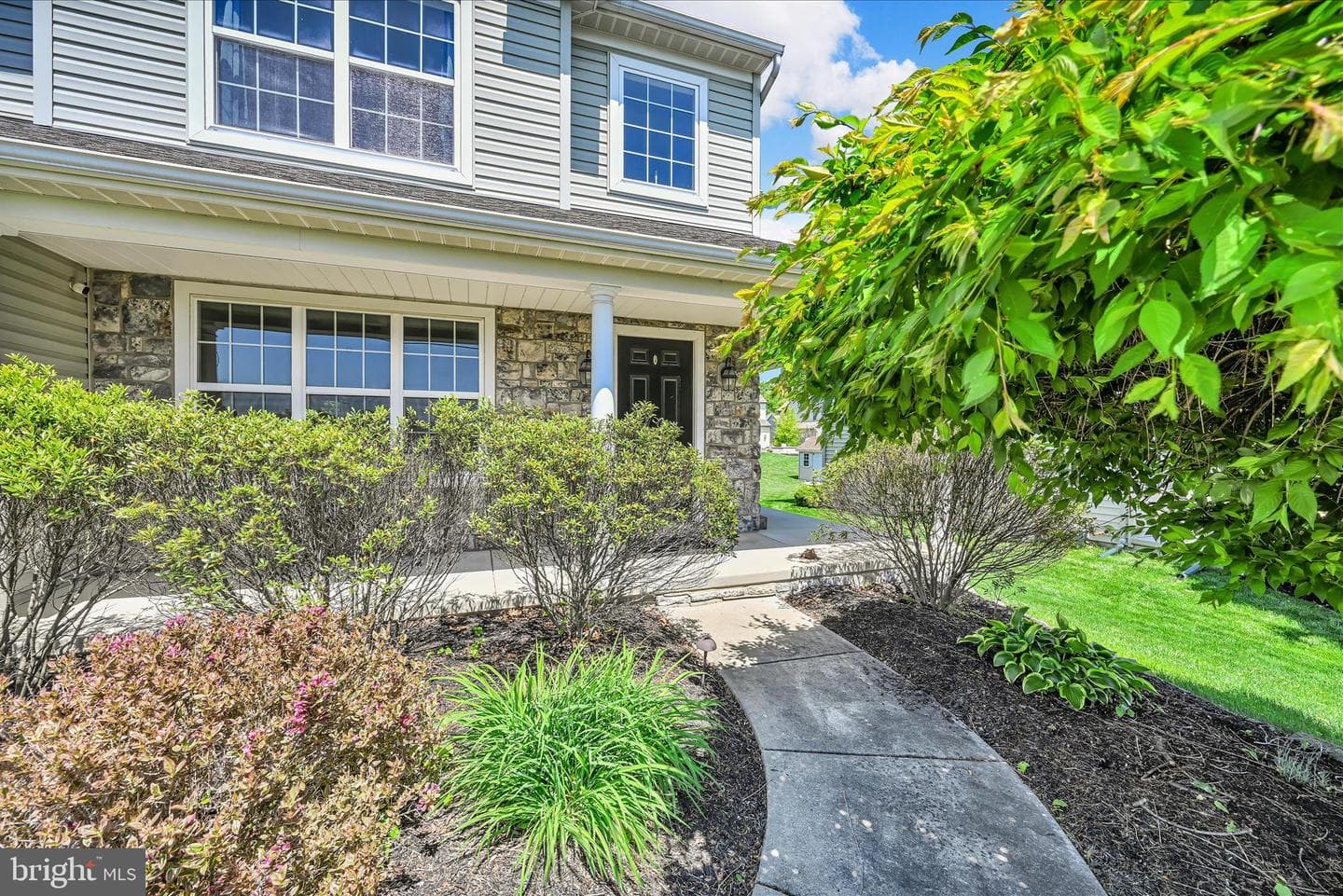 481 Wissler Way photo 6