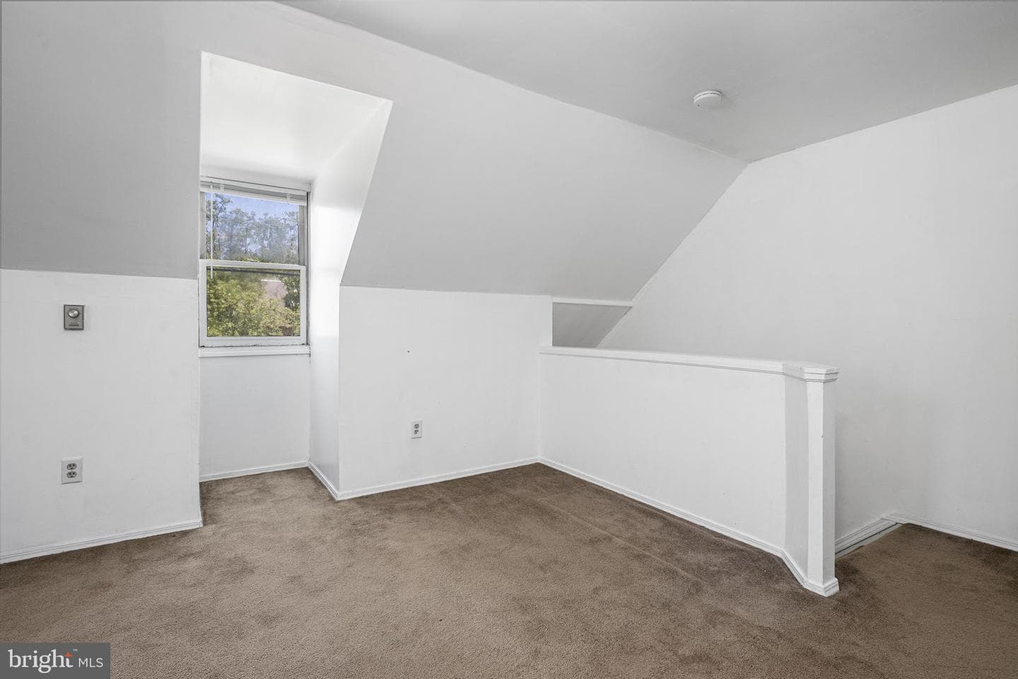 229 Black Horse Drive photo 14