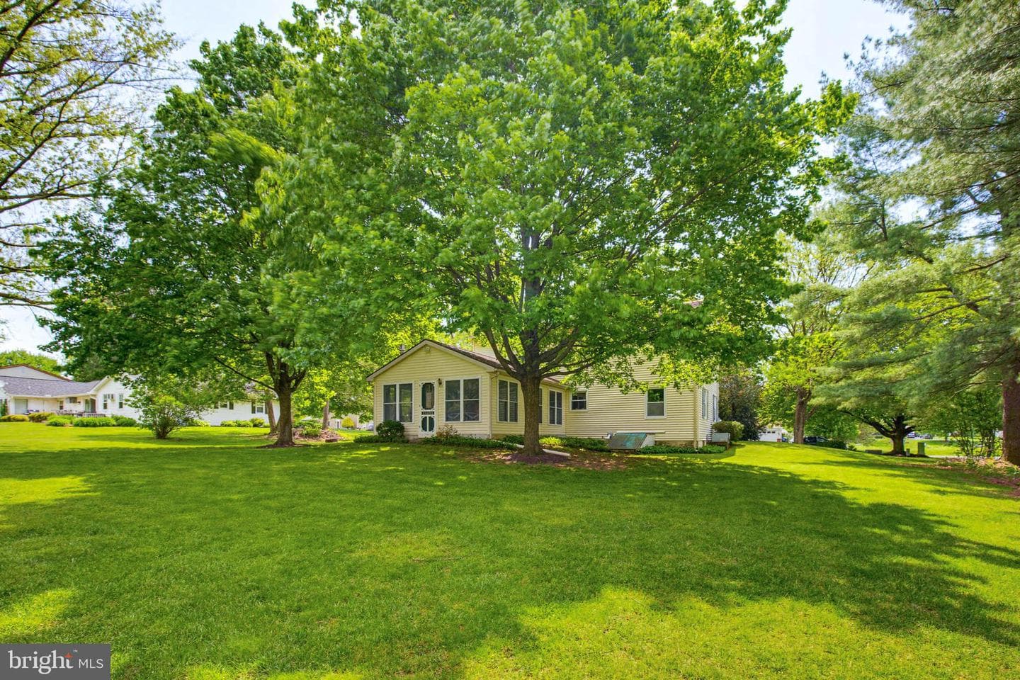 35 Pinewood Avenue photo 25