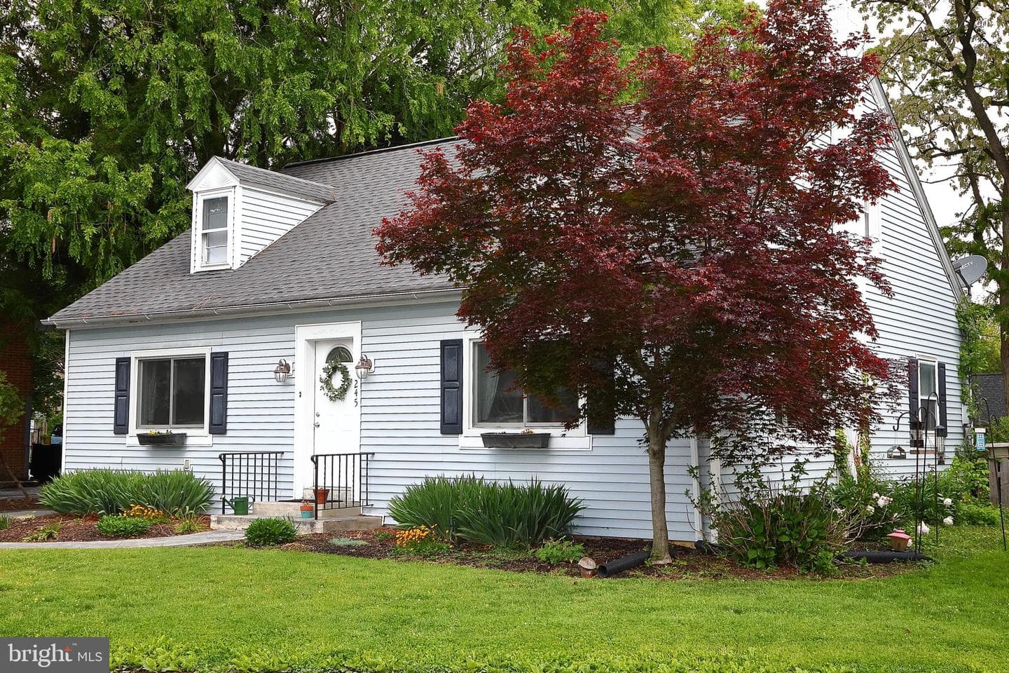 245 Elizabeth Street photo 2