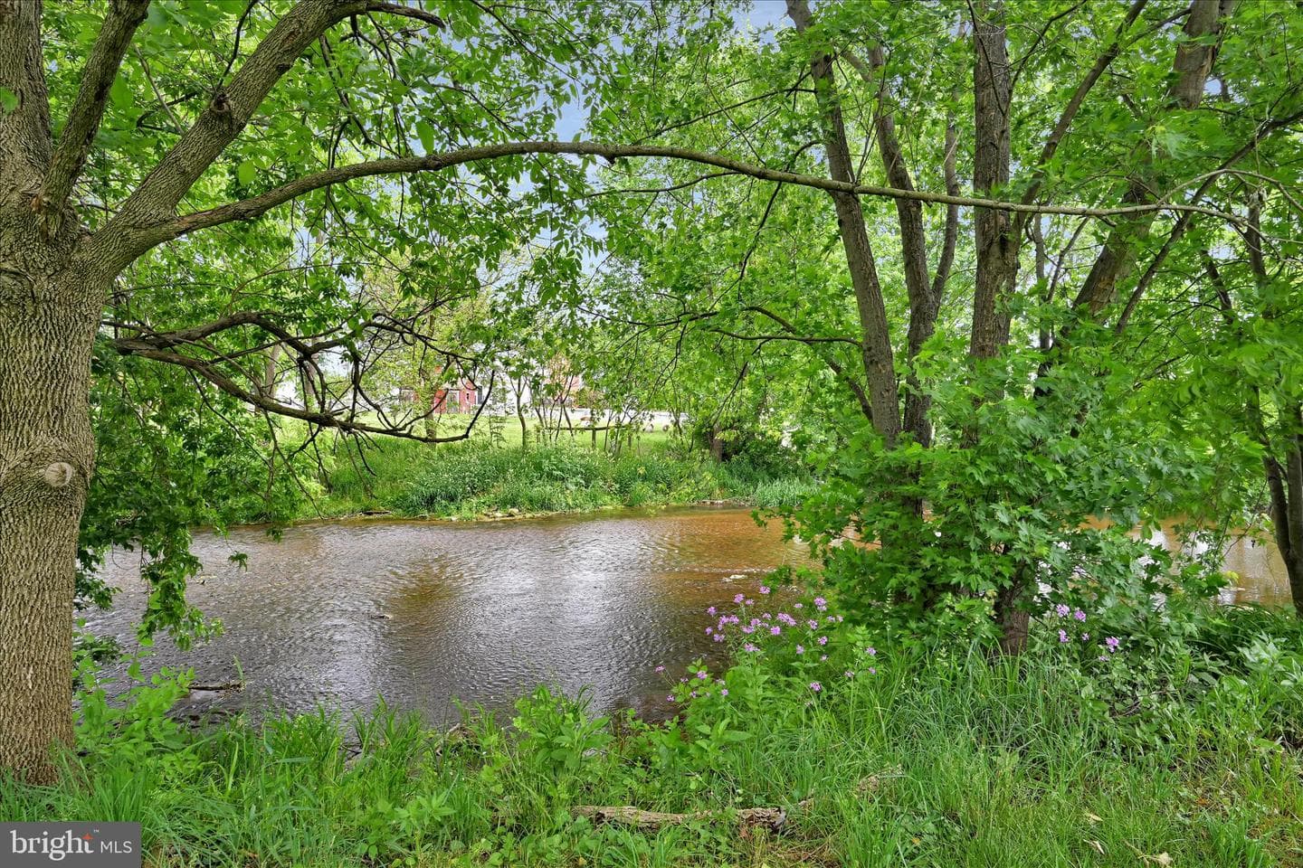 69 Misty Lane photo 41