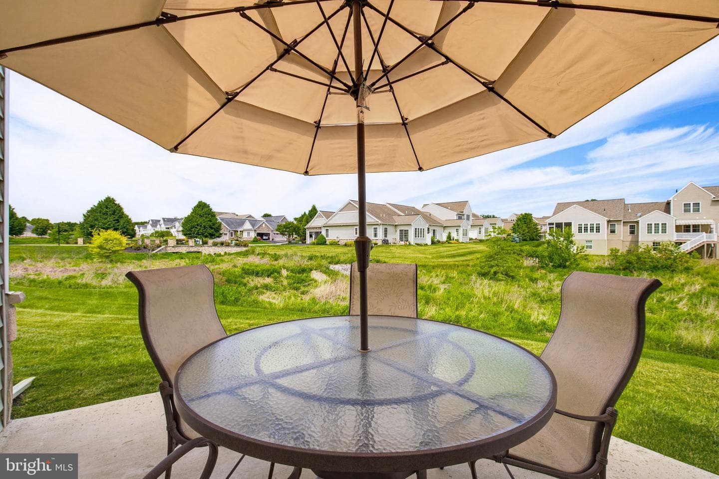 361 Meadow Rose Drive photo 29