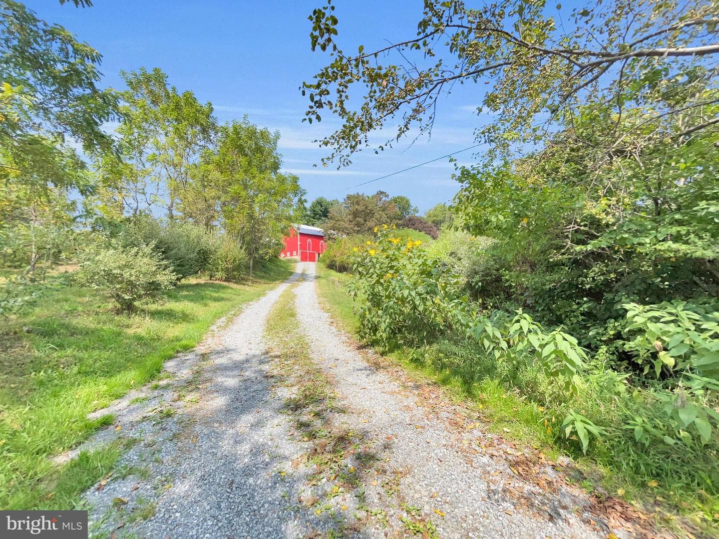 1095 Texter Mountain Road photo 3