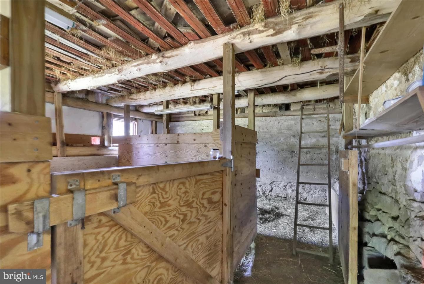 1095 Texter Mountain Road photo 54