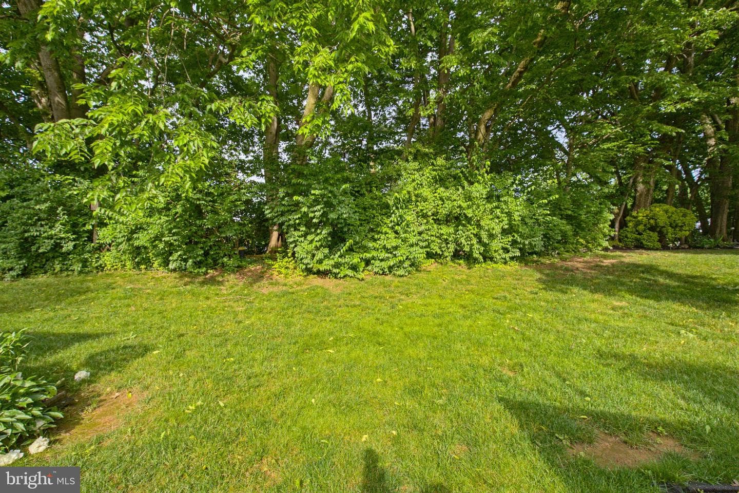 20 Beechtree Lane photo 34